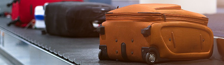 Indigo-Baggage-Allowance